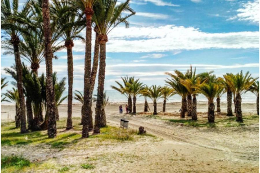 Apartamentoen La Playa, 200 Mts De La Playa Nuevo Санта Пола Екстериор снимка